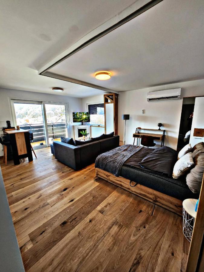 Lions Place Premium Apartments Executive Luxus Penthouse Inklusive Spa Heidenheim an der Brenz Buitenkant foto