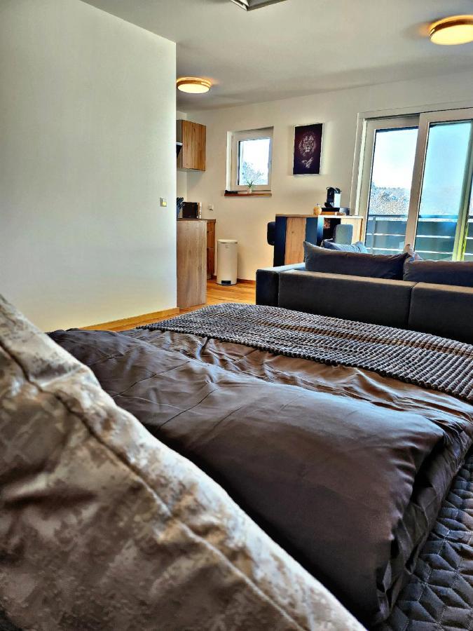 Lions Place Premium Apartments Executive Luxus Penthouse Inklusive Spa Heidenheim an der Brenz Buitenkant foto