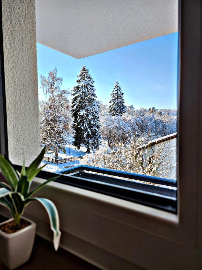 Lions Place Premium Apartments Executive Luxus Penthouse Inklusive Spa Heidenheim an der Brenz Buitenkant foto