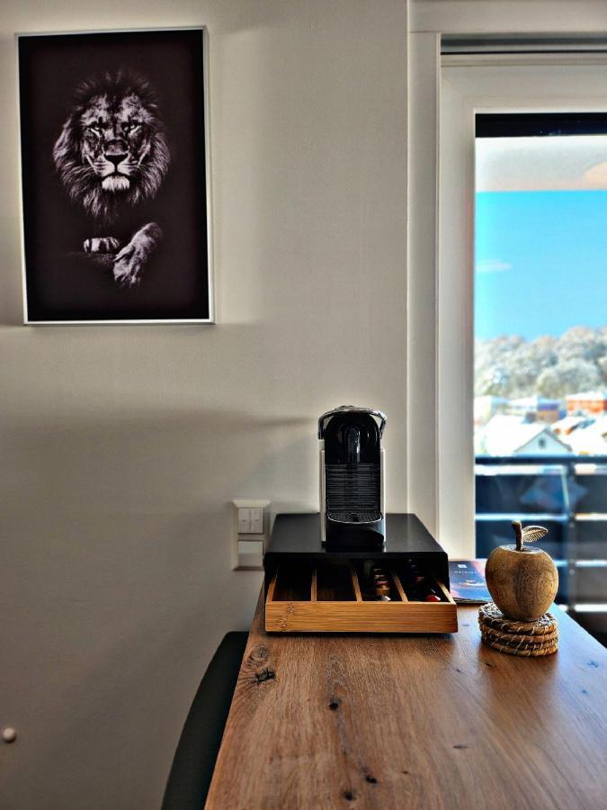 Lions Place Premium Apartments Executive Luxus Penthouse Inklusive Spa Heidenheim an der Brenz Buitenkant foto