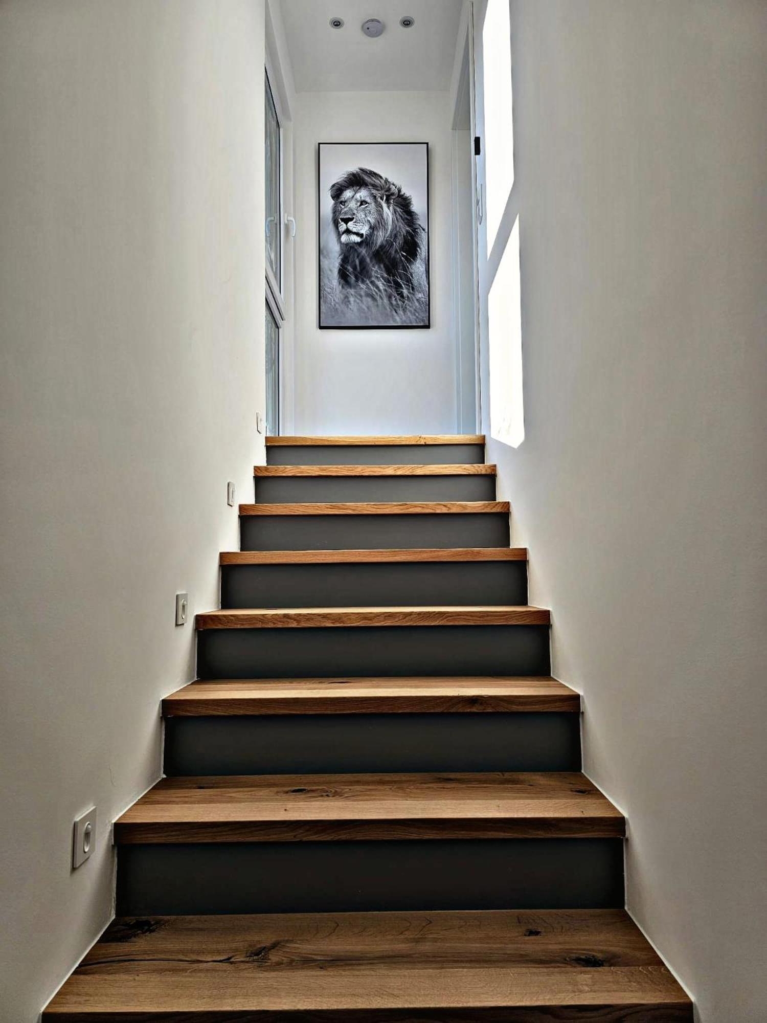 Lions Place Premium Apartments Executive Luxus Penthouse Inklusive Spa Heidenheim an der Brenz Buitenkant foto