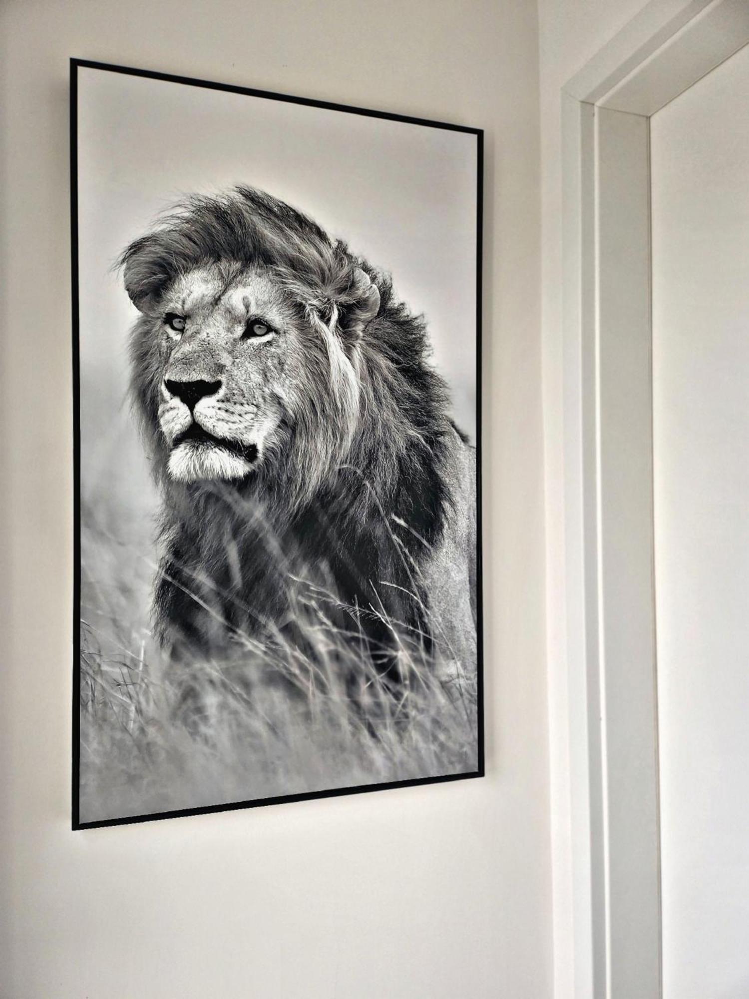 Lions Place Premium Apartments Executive Luxus Penthouse Inklusive Spa Heidenheim an der Brenz Buitenkant foto