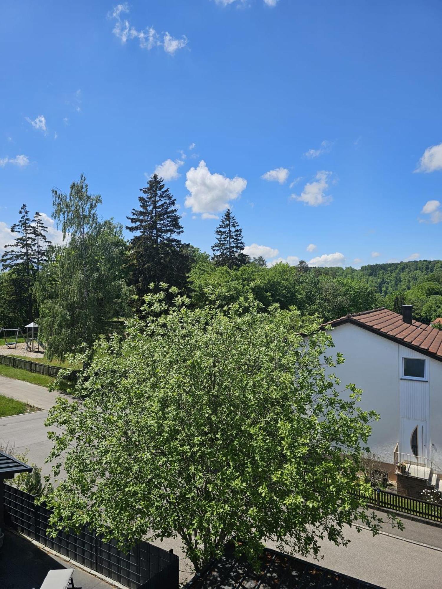 Lions Place Premium Apartments Executive Luxus Penthouse Inklusive Spa Heidenheim an der Brenz Buitenkant foto